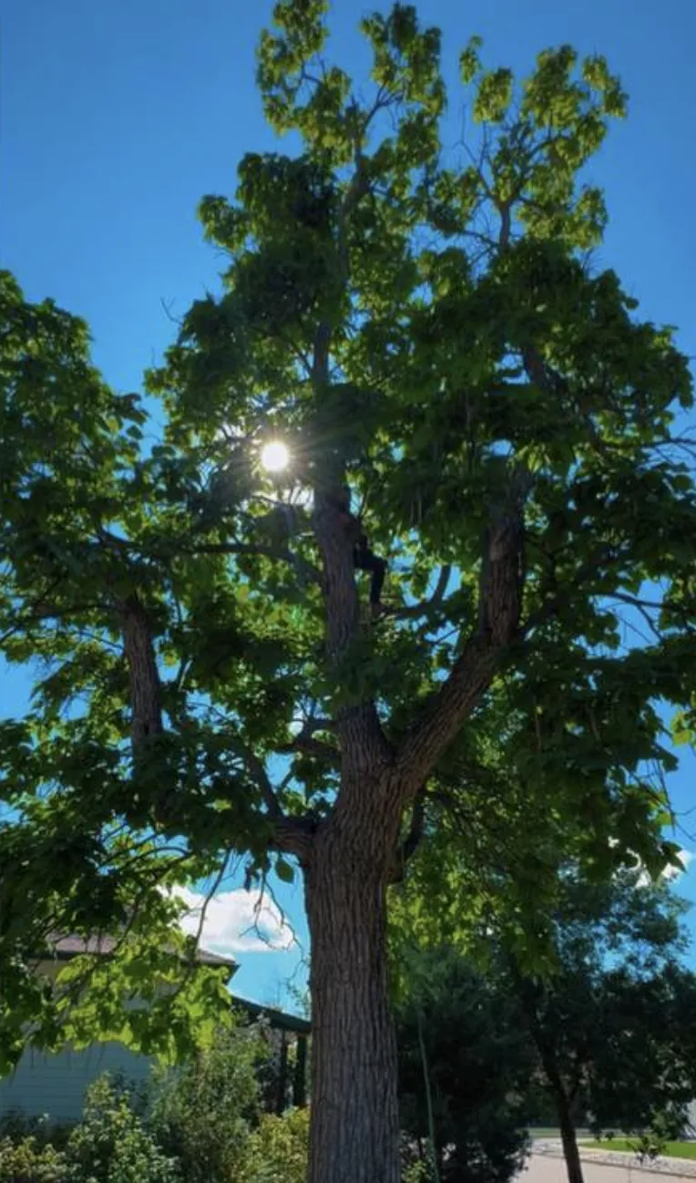 Concrete Contractor in Ventura County