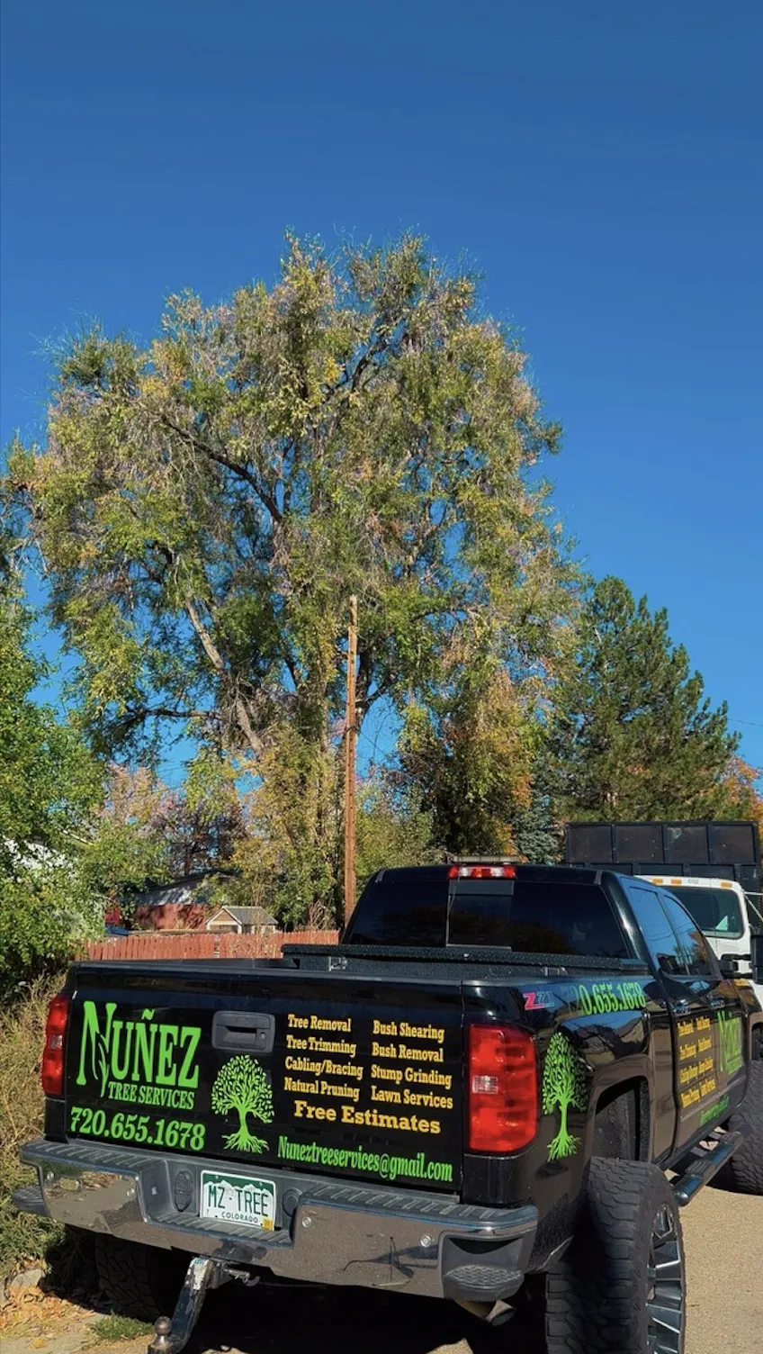 Concrete Contractor in Ventura County