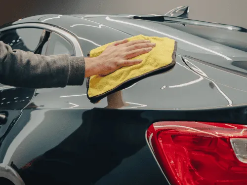 Interior Detailing Pell City