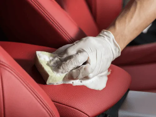 Interior Detailing Pell City