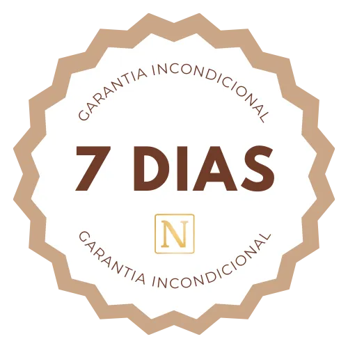 curso de notion
