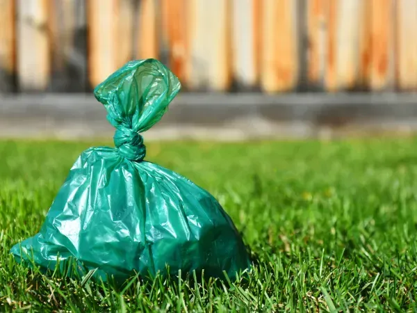 Tied green dog poop bag sitting on grass in a backyard