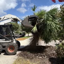  in Odessa, FL