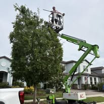  in Odessa, FL