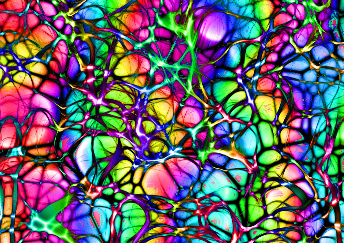 Network of Nerves Up Close All Coloured