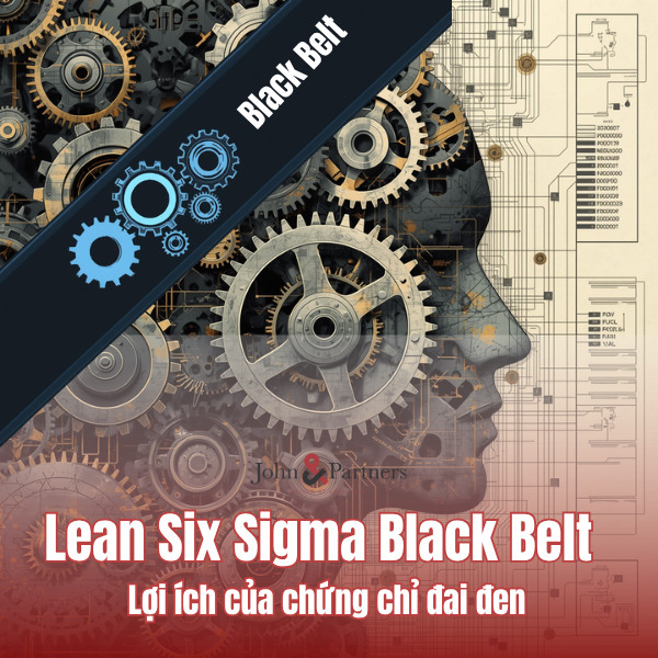 Lean Six Sigma Black Belt là gì? Lợi ích của chứng chỉ đai đen