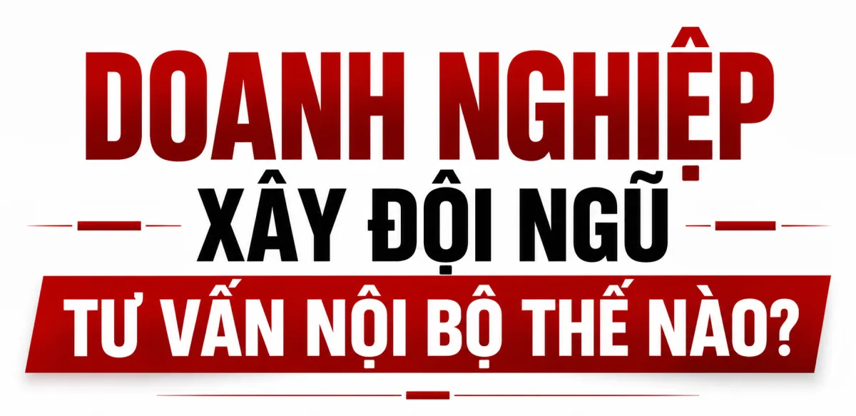 Doanh Nghiệp Xây Đội Ngũ Tư Vấn Nội Bộ Thế Nào? Khung CEC Ba Cấp Và Lộ Trình Giữ Lại Tri Thức Cải Tiến Sau Mỗi Dự Án