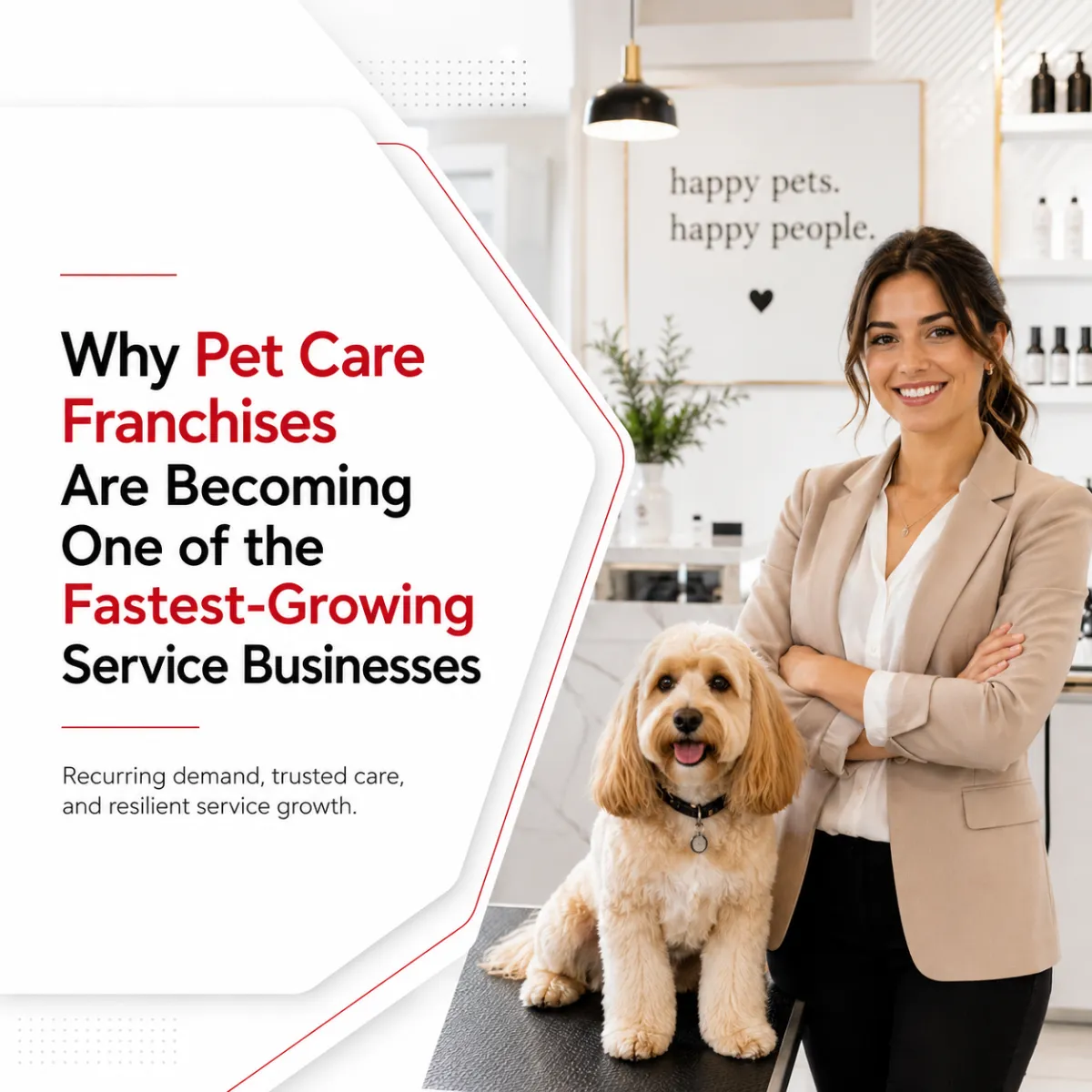 Why Pet Care Franchises Are Becoming One of the Fastest-Growing Service Businesses