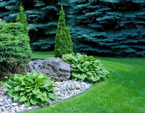 Landscaping Solutions in Hackettstown