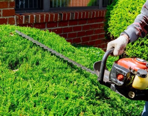 Shrub Trimming in Hackettstown