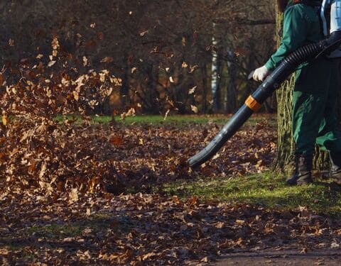 Spring | Fall Cleanup in Hackettstown
