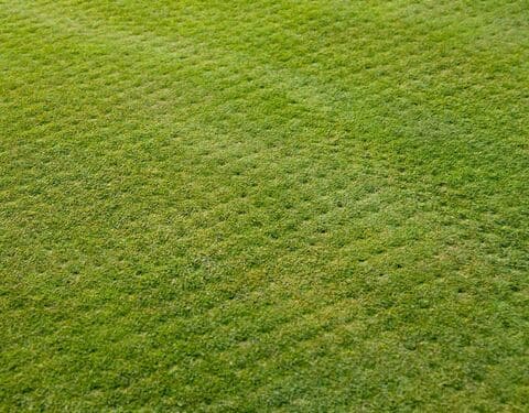 Core Aeration in Hackettstown
