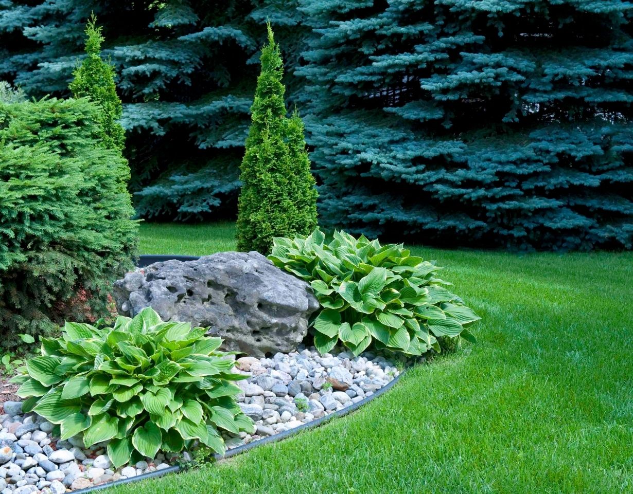 Mendham Tree Services