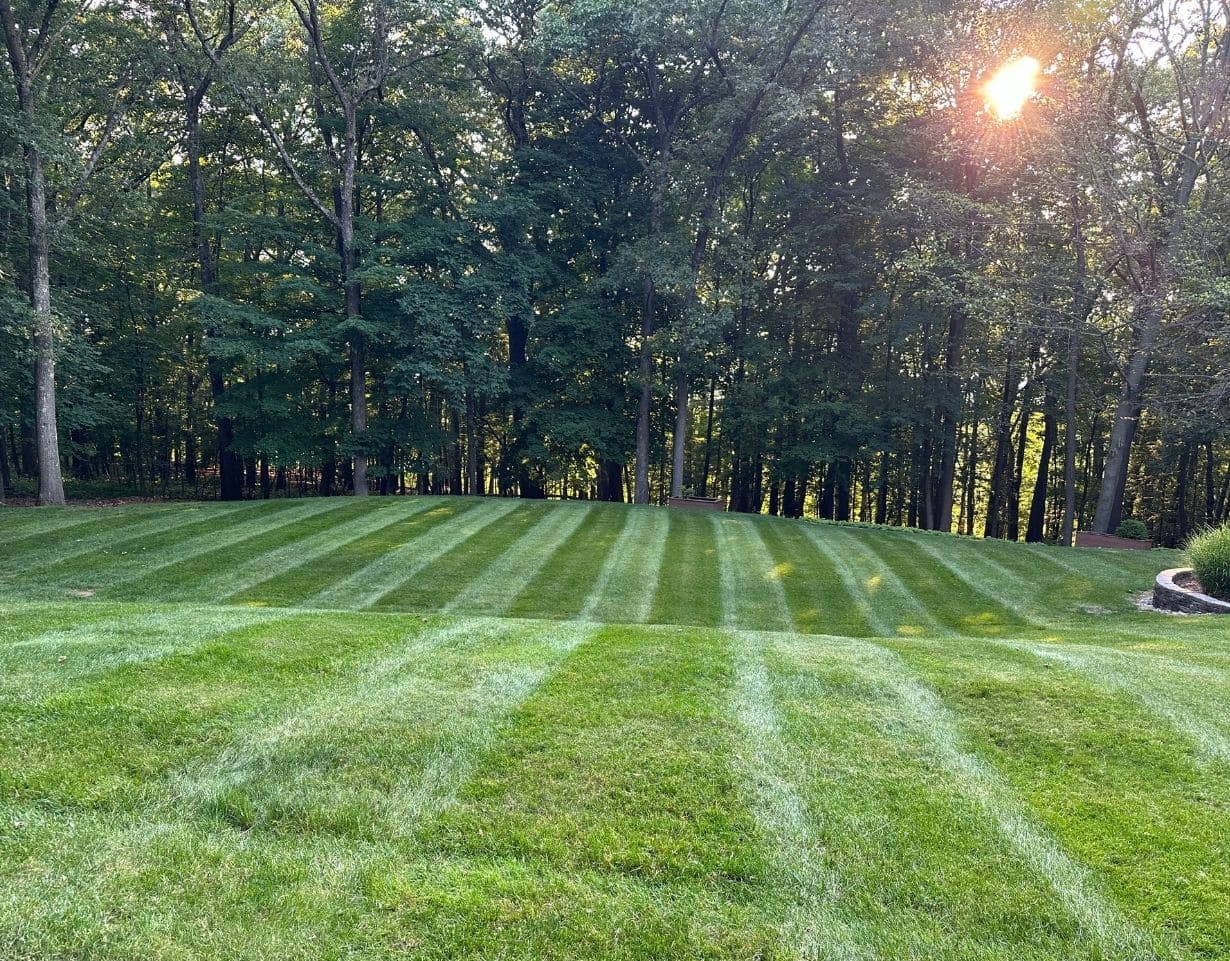 Lawn Maintenance Hackettstown