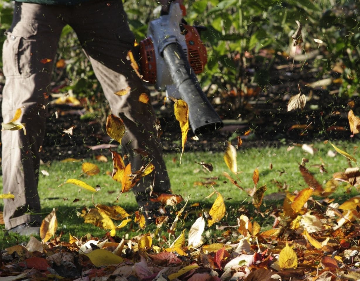 Long Valley Spring | Fall Cleanup