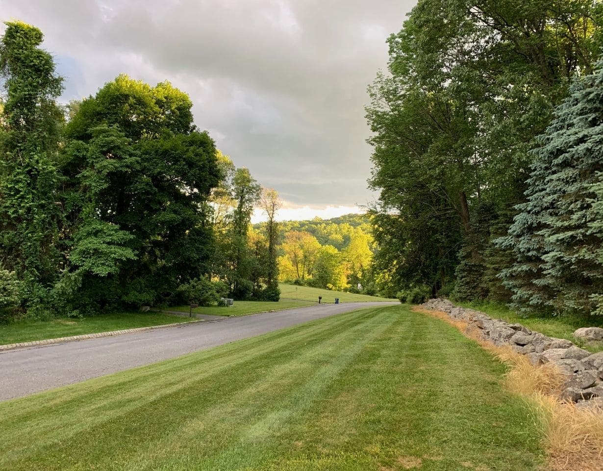 Long Valley Lawn Maintenance