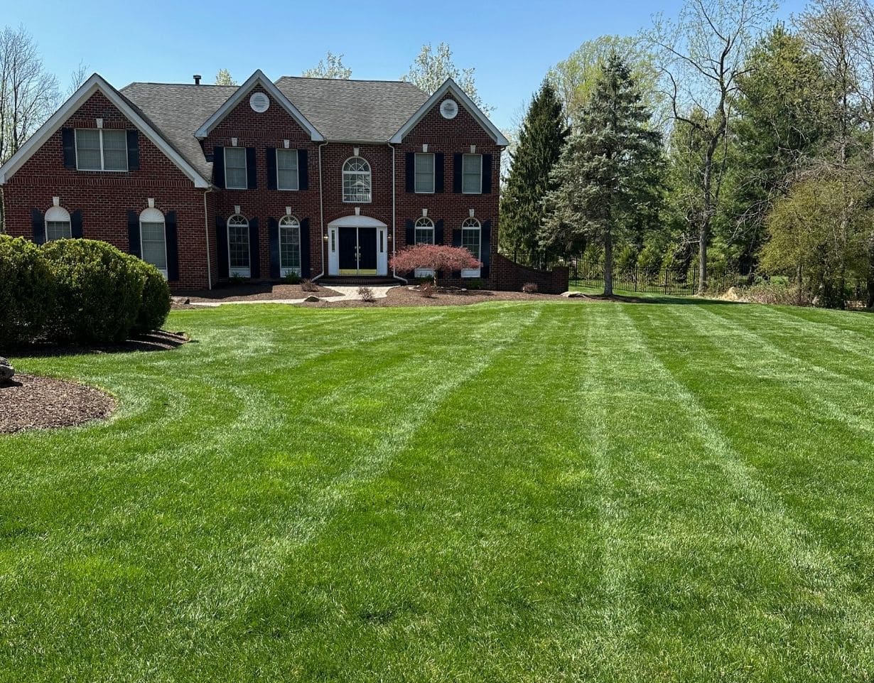 Spring | Fall Cleanup Hackettstown