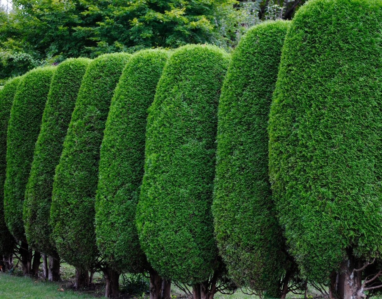 Decks | Fencing Hackettstown