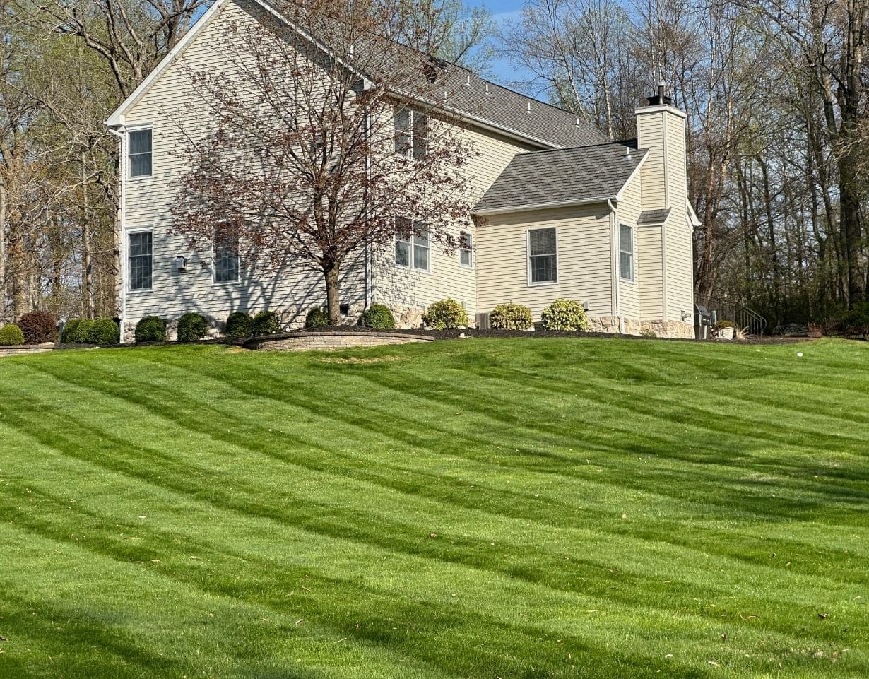  Lawn Maintenance
