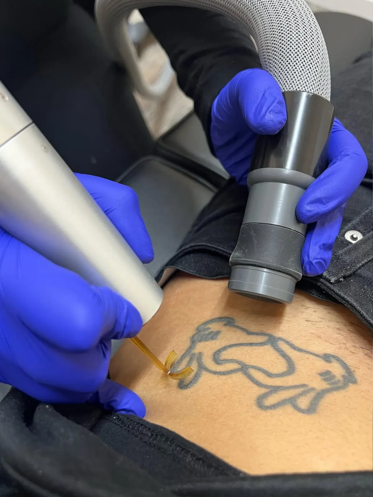 Beautiful pink flowers bloom in the garden.