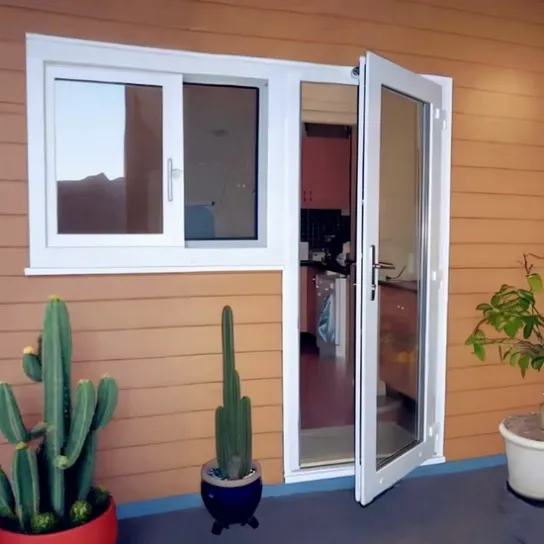 A white door stands against a wall, with a green cactus plant positioned in the corner nearby.