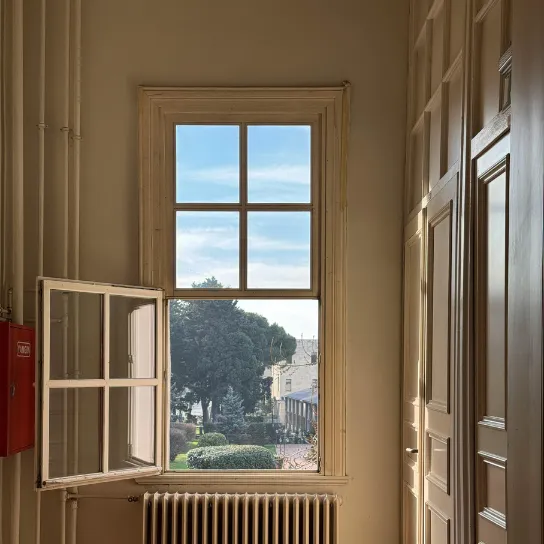 Standard Fixed Frame Windows