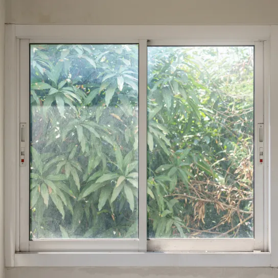 2-Panel Sliding Windows