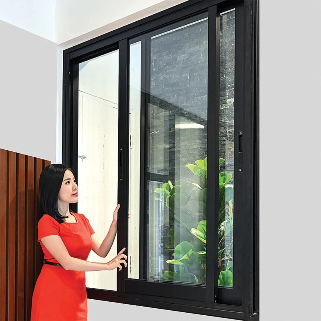 2-Panel Sliding Windows