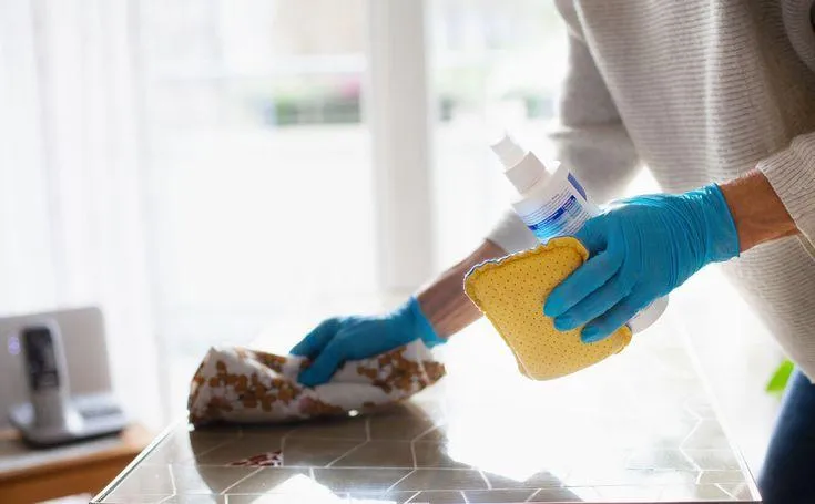 non-toxic cleaning supplies on kitchen counter with natural ingredients