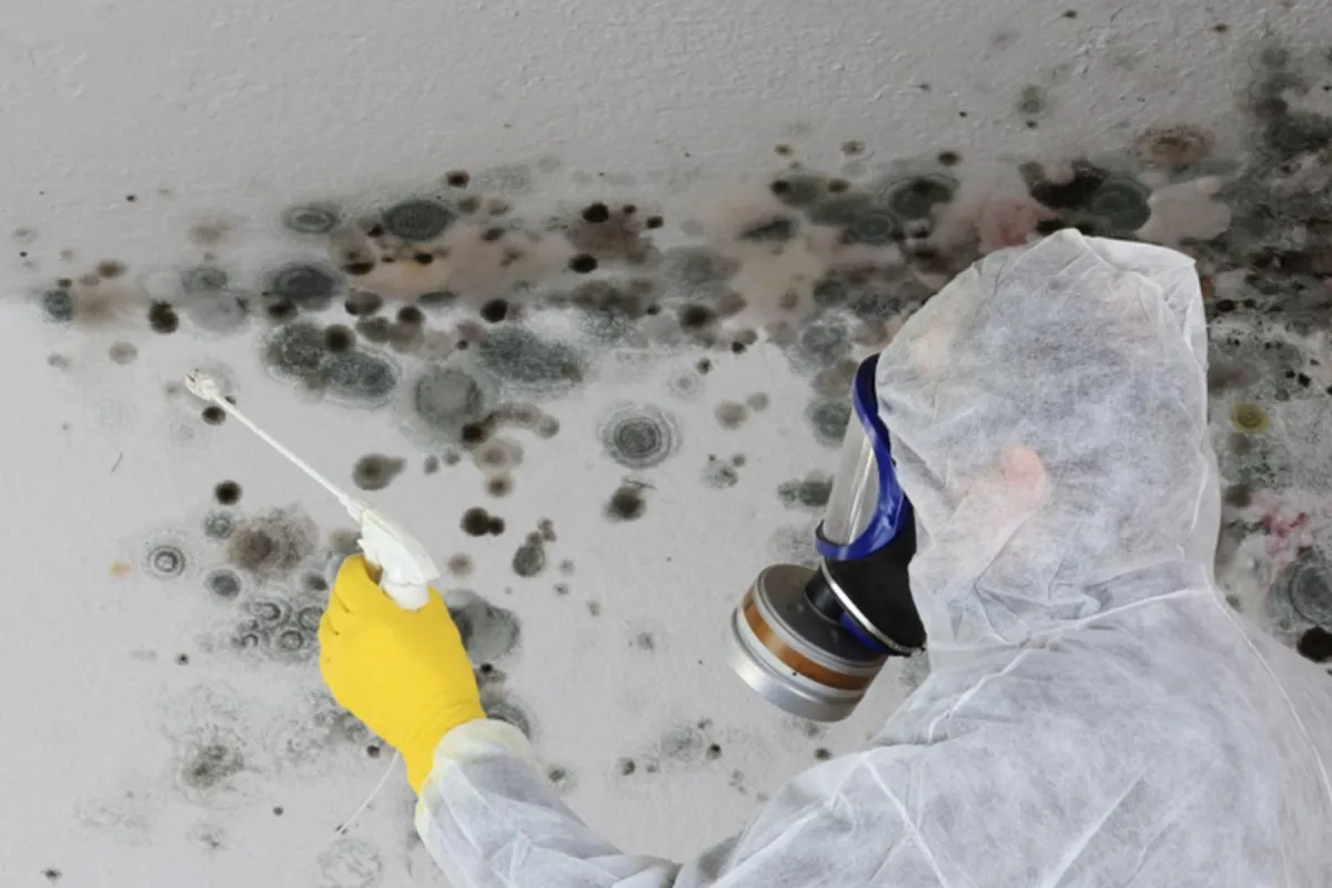 Virtual Mold Inspection