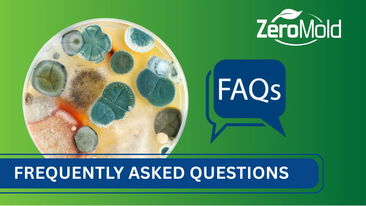 Mold FAQ