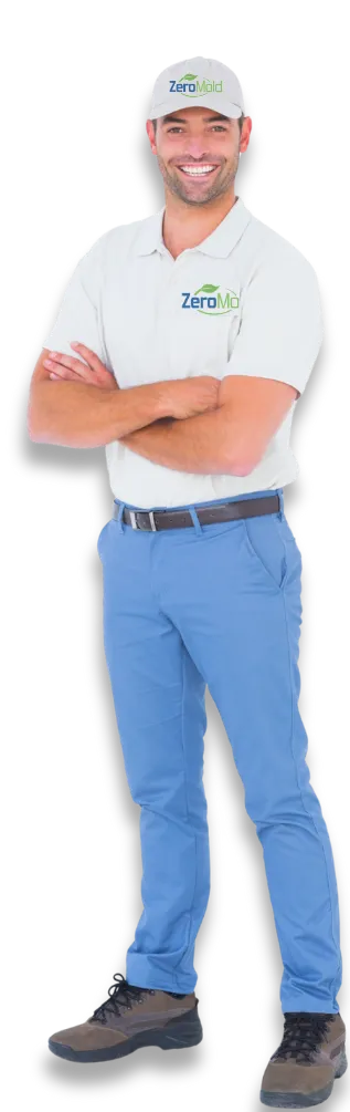 Mold Technician