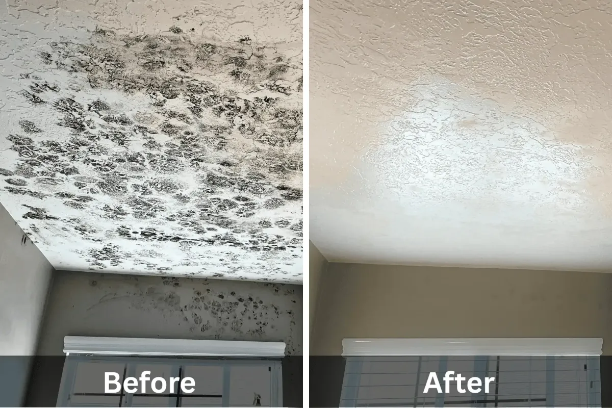 Before and after photo of mold removal on ceiling