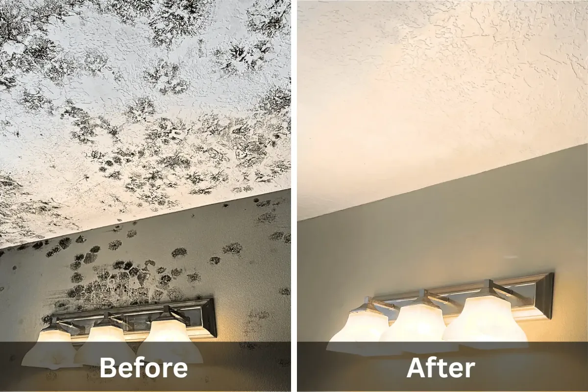 Before and after photo of mold removal in bathroom