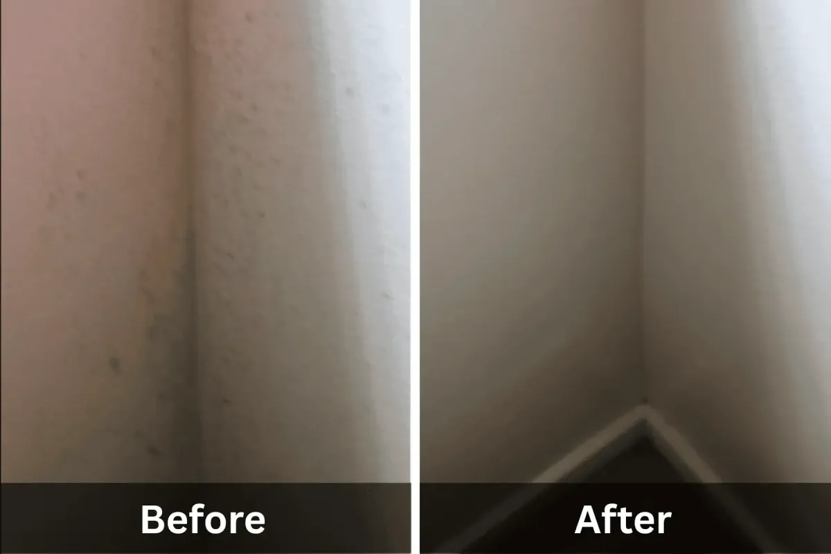 Before and after photo of mold removal in bedroom