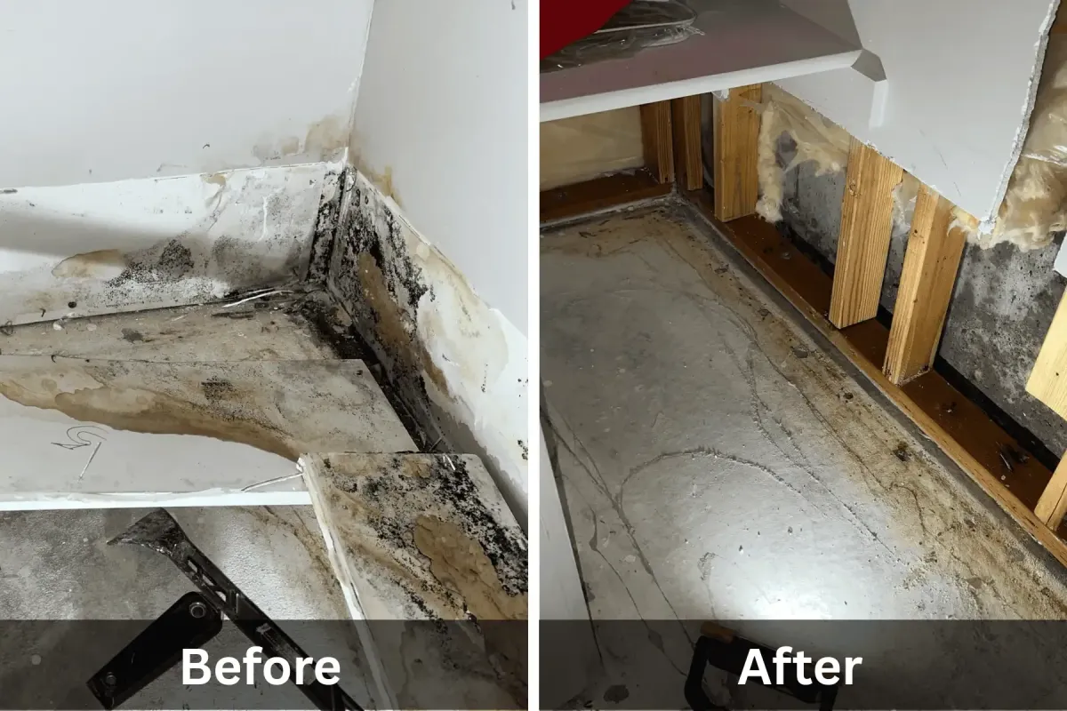 Before and after photo of mold removal in closet
