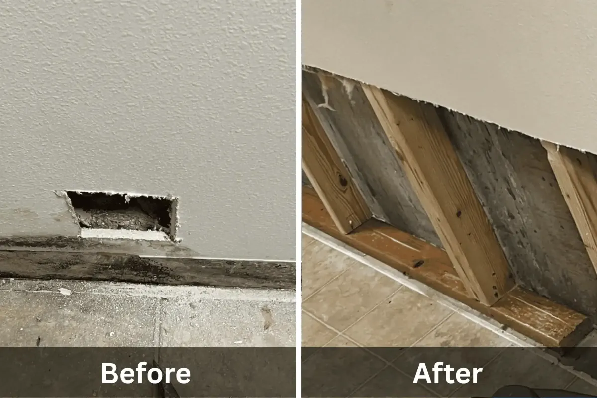 Before and after photo of mold removal drywall removal