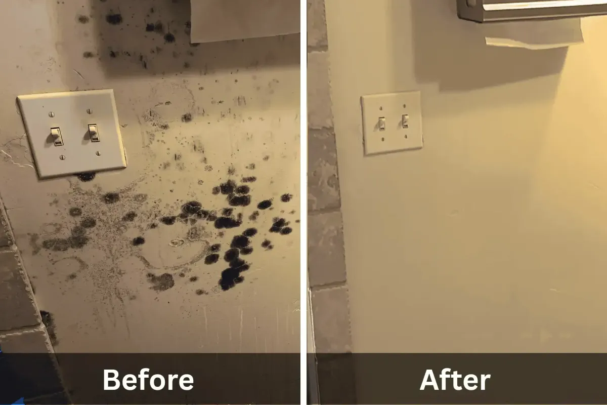 Before and after photo of mold removal on painted wall