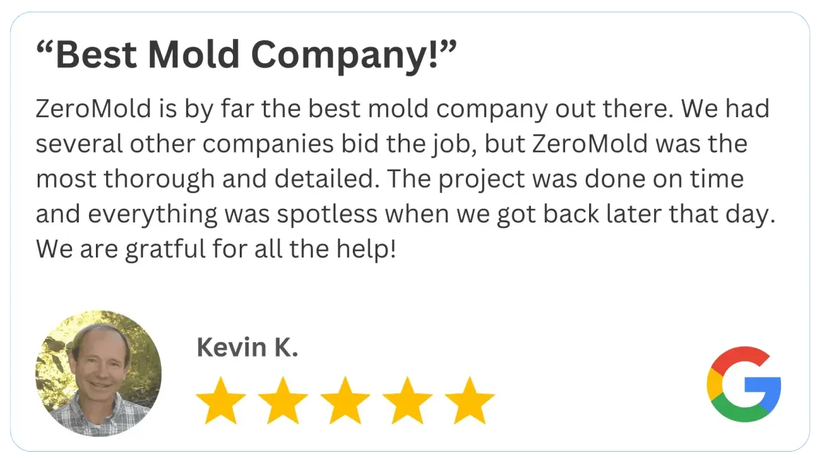 5-star Mold Review