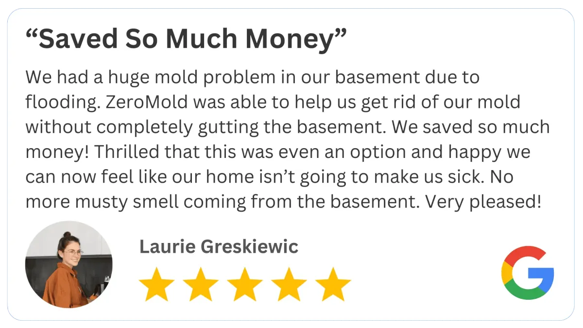 5 star Mold Review