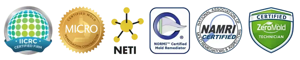 Mold Remediation Certifications