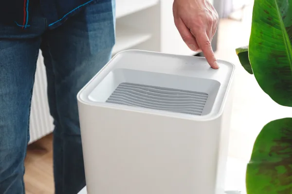 mold growing on wall caused by high humidity