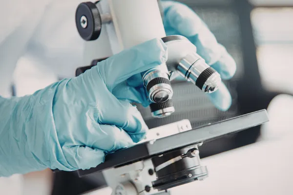 how to get rid of mold mites