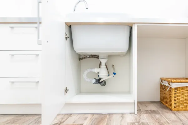 black mold under the sink in kitchen cabinet