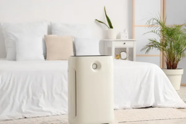 Does an air purifier help with mold or just improve air quality? Learn how air purifiers work and when they help reduce mold spores.