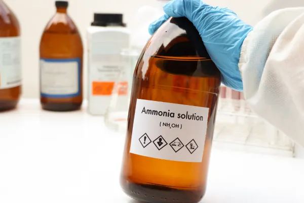 does ammonia kill mold or do professionals use better solutions