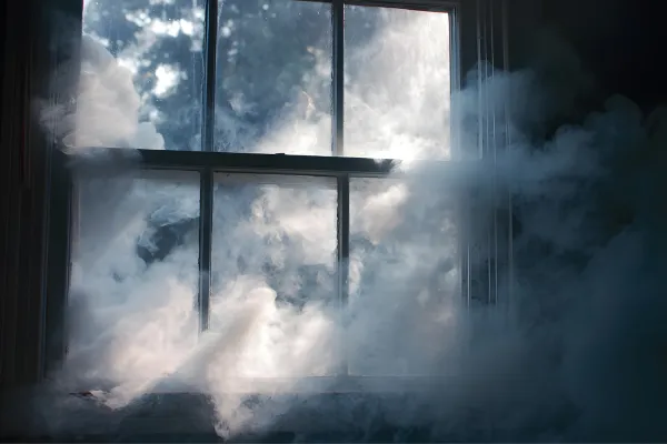 dry fogging performed by professional mold remediation experts