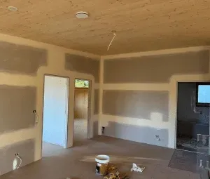 Interior Wall Painting
