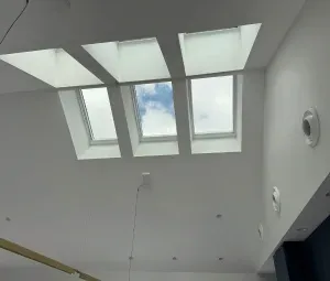 Eco-Friendly & Low-VOC Painting