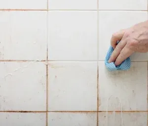 Moisture & Mould-Resistant Painting